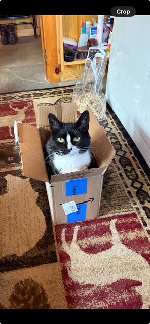 The cutest package
