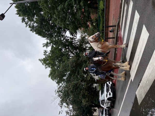 We Love horses so much!