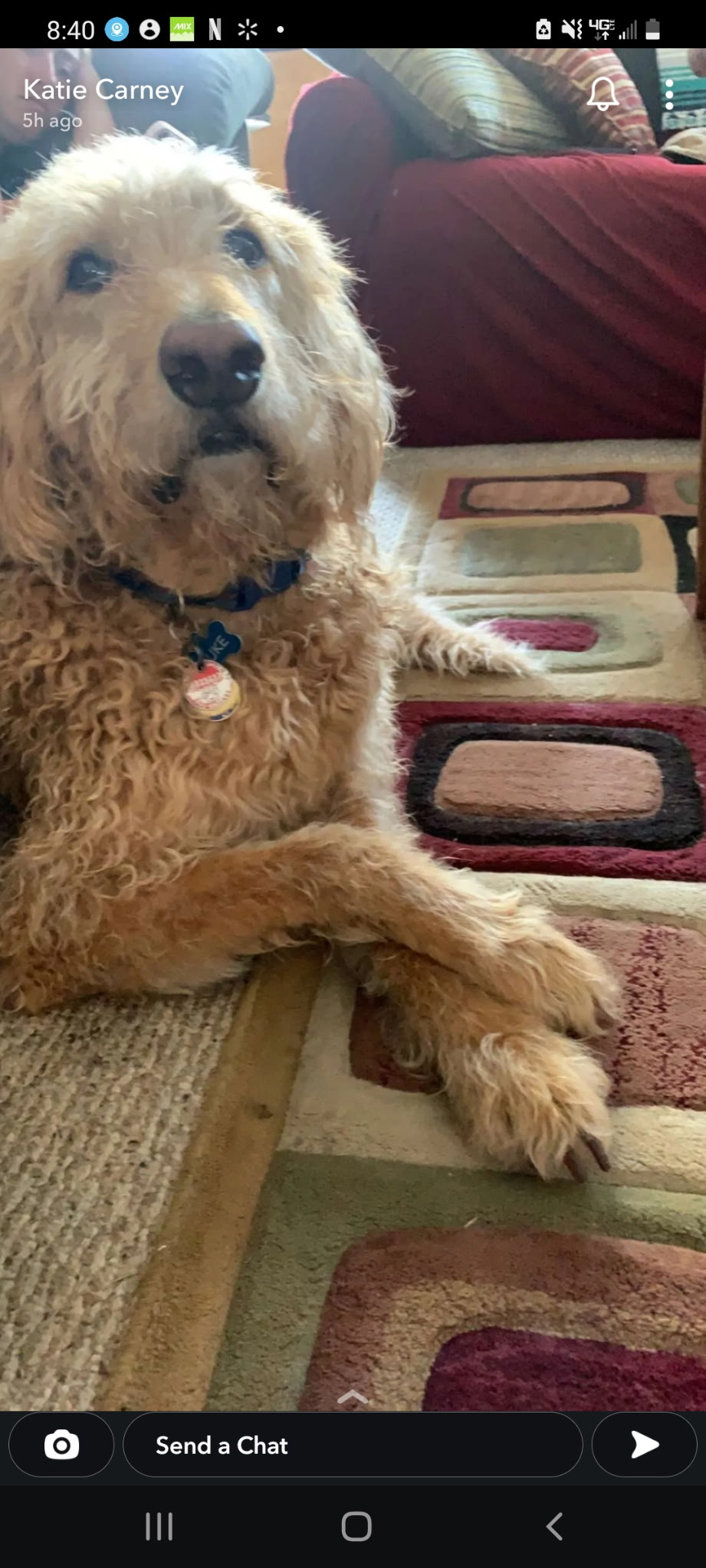 Duke says, "Someone fetch my pipe and slippers, please"