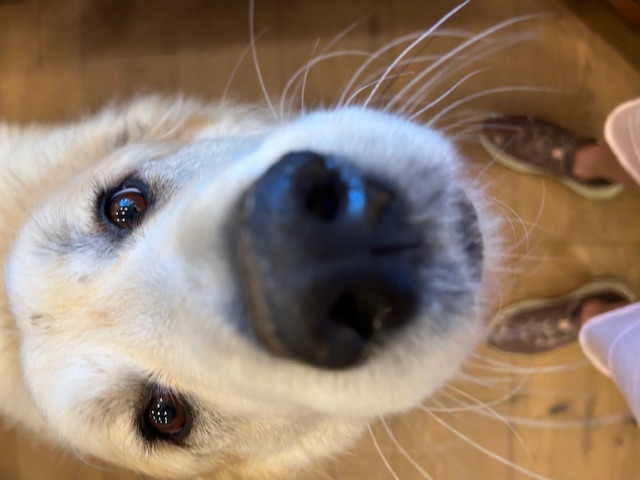 We'd like a "Lulu", maybe
