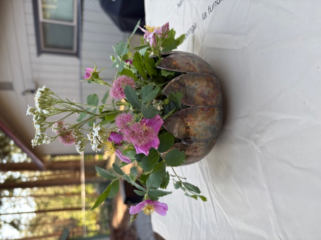 Lake Tahoe wildflowers