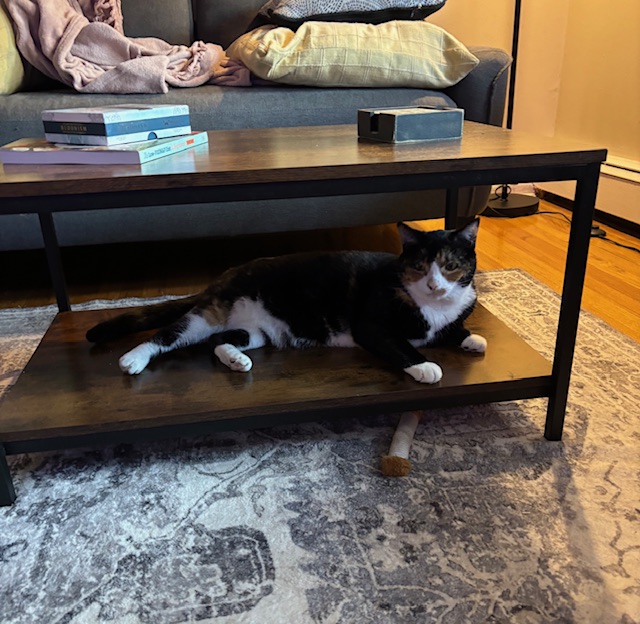 Hey Stella, can you see the TV from there? Hey Stella, can you see the TV from there?