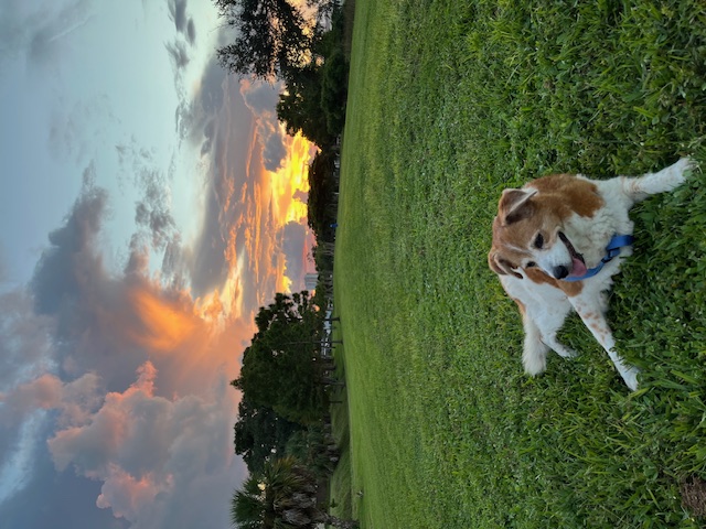 What a sky, what a girl! What a sky, what a girl!