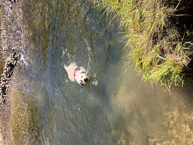 Beautiful Bathing Betty Beautiful Bathing Betty