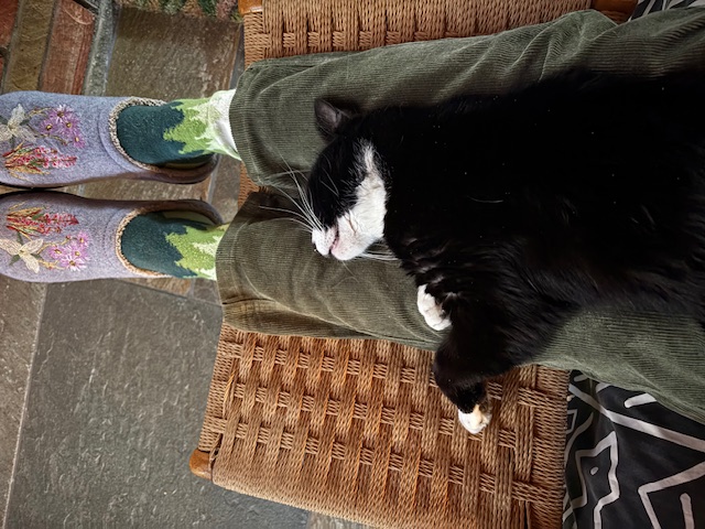 Mom! You were gone for soooo long.