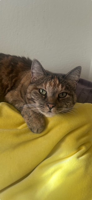 Mosey's sister, Stella