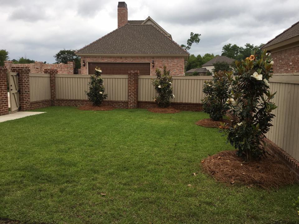 Small front yard landscaping with mixed flowers in Rayville, LA