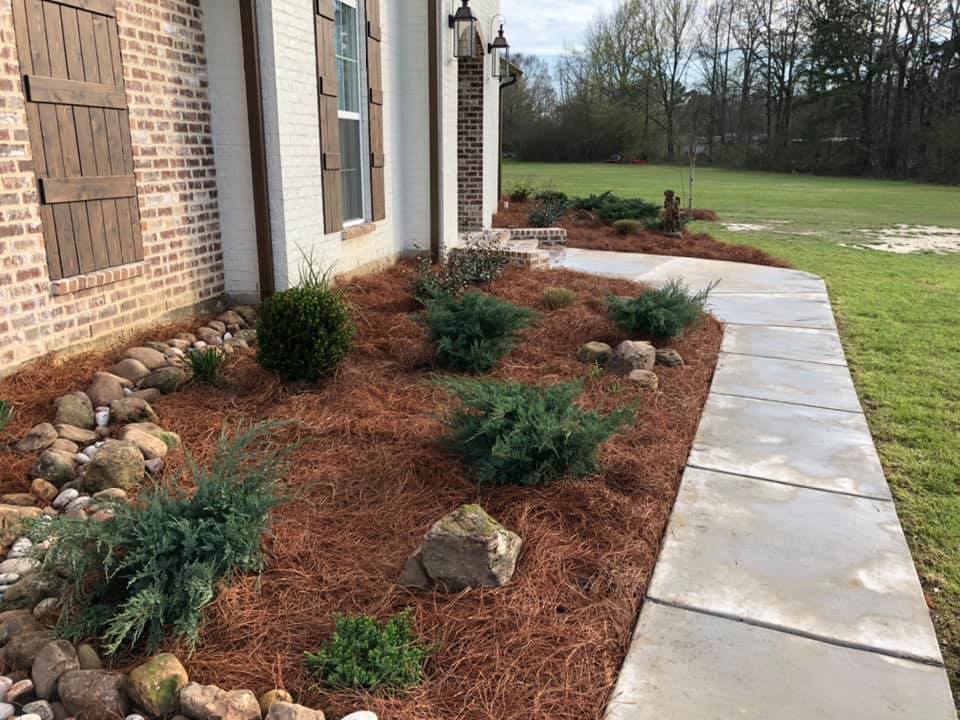 Fresh mulch and bright blooms in Monroe, Louisiana