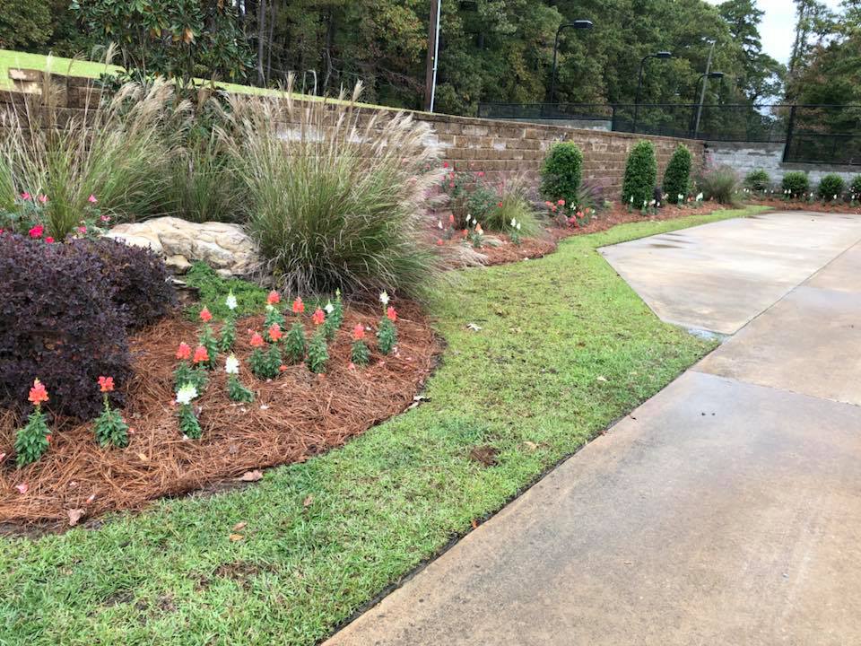 Neatly edged flower bed with lilies in Monroe, Louisiana