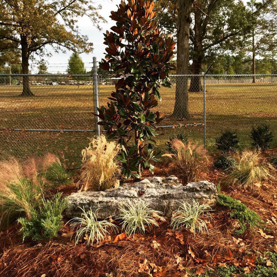 Decorative landscaping with low-maintenance shrubs and flowers in Downsville, LA