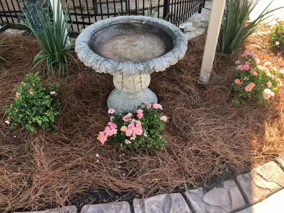 Freshly planted flower bed with bright annuals in Rayville, Louisiana