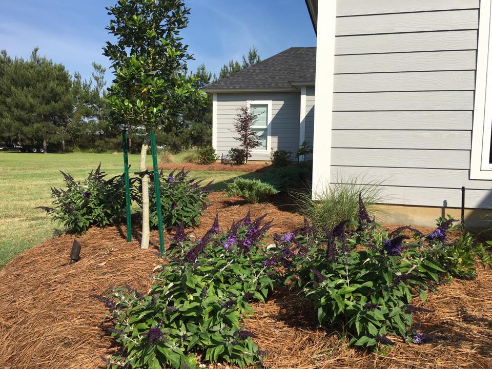 Neat flower bed layout in Ruston, LA