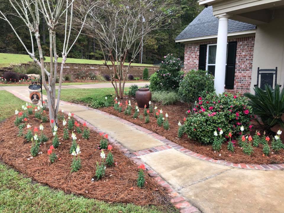 Stone border flower bed with purple and white blooms in Ruston, LA