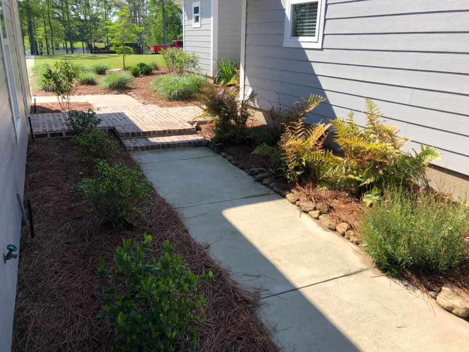 Garden bed with drought-tolerant plants and mulch in Bastrop, LA