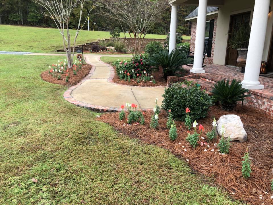 Mixed perennial bed with mulch in Monroe, LA
