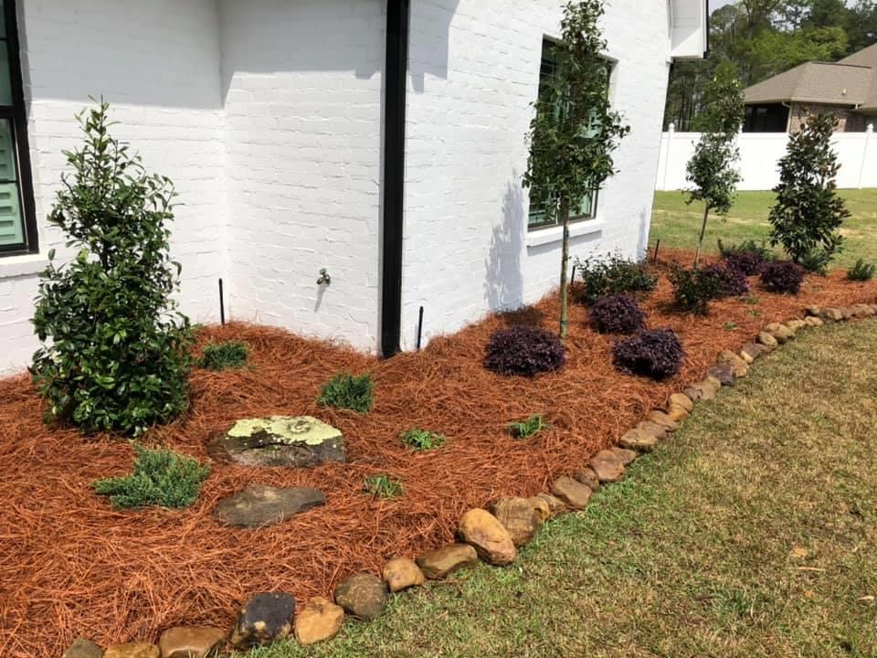 Vibrant flower bed along a walkway in Sterlington, Louisiana
