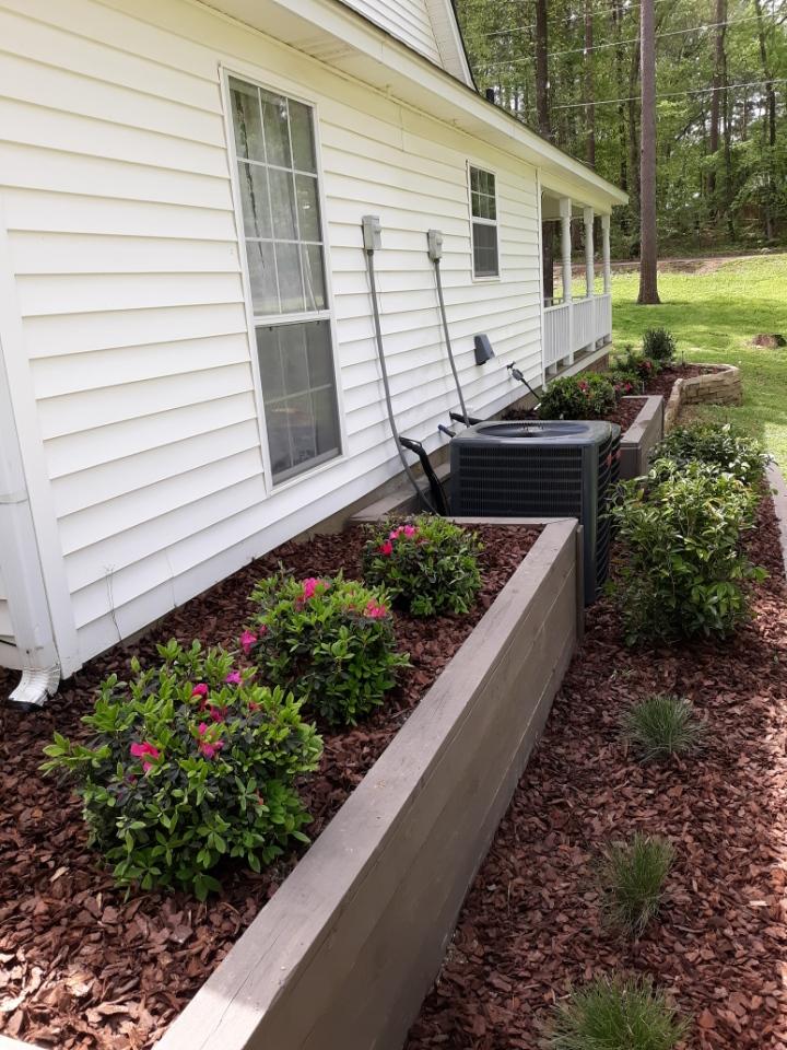 Mulched garden with flowering bushes in Sterlington, Louisiana