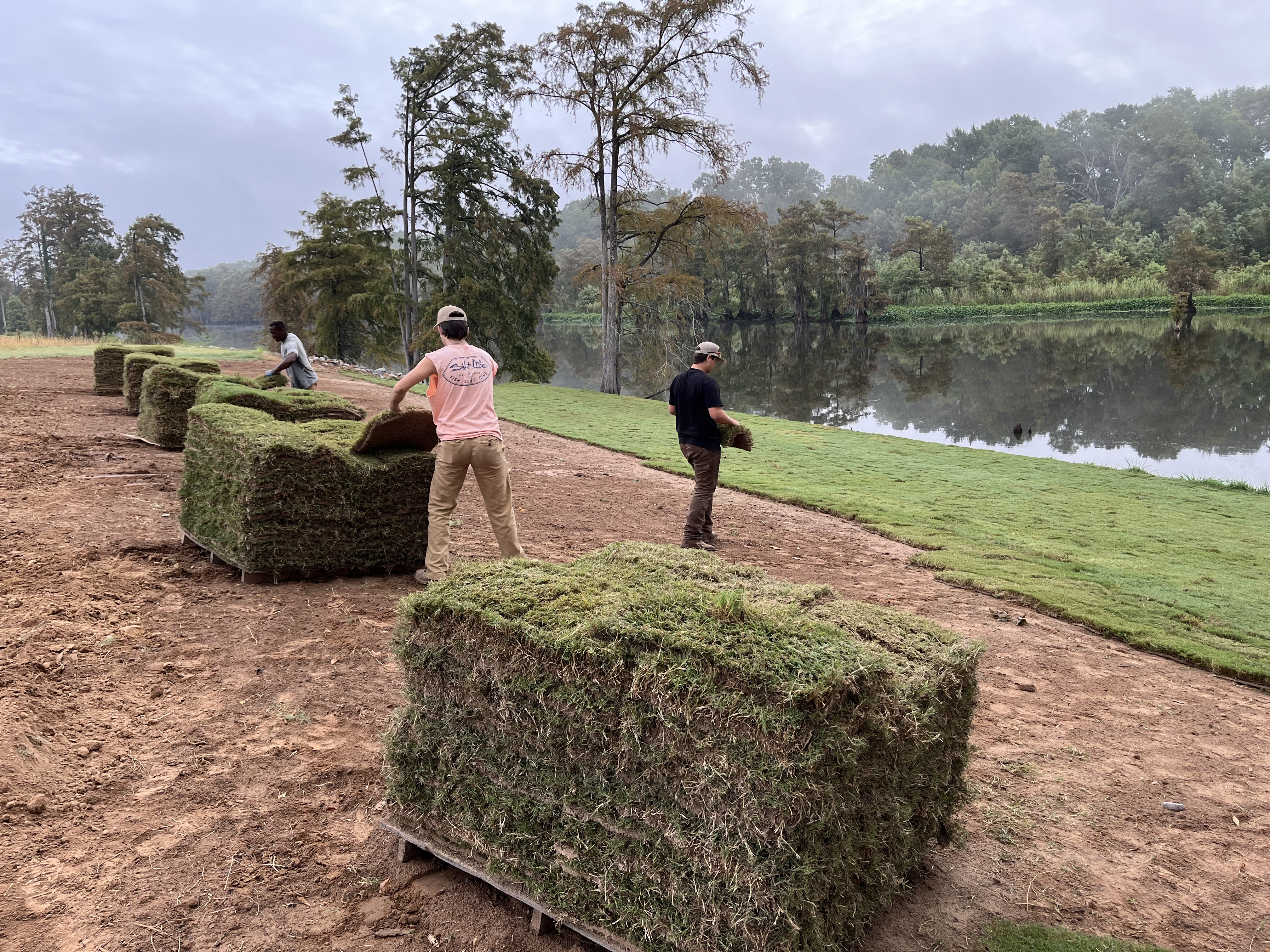 Putting down some sod