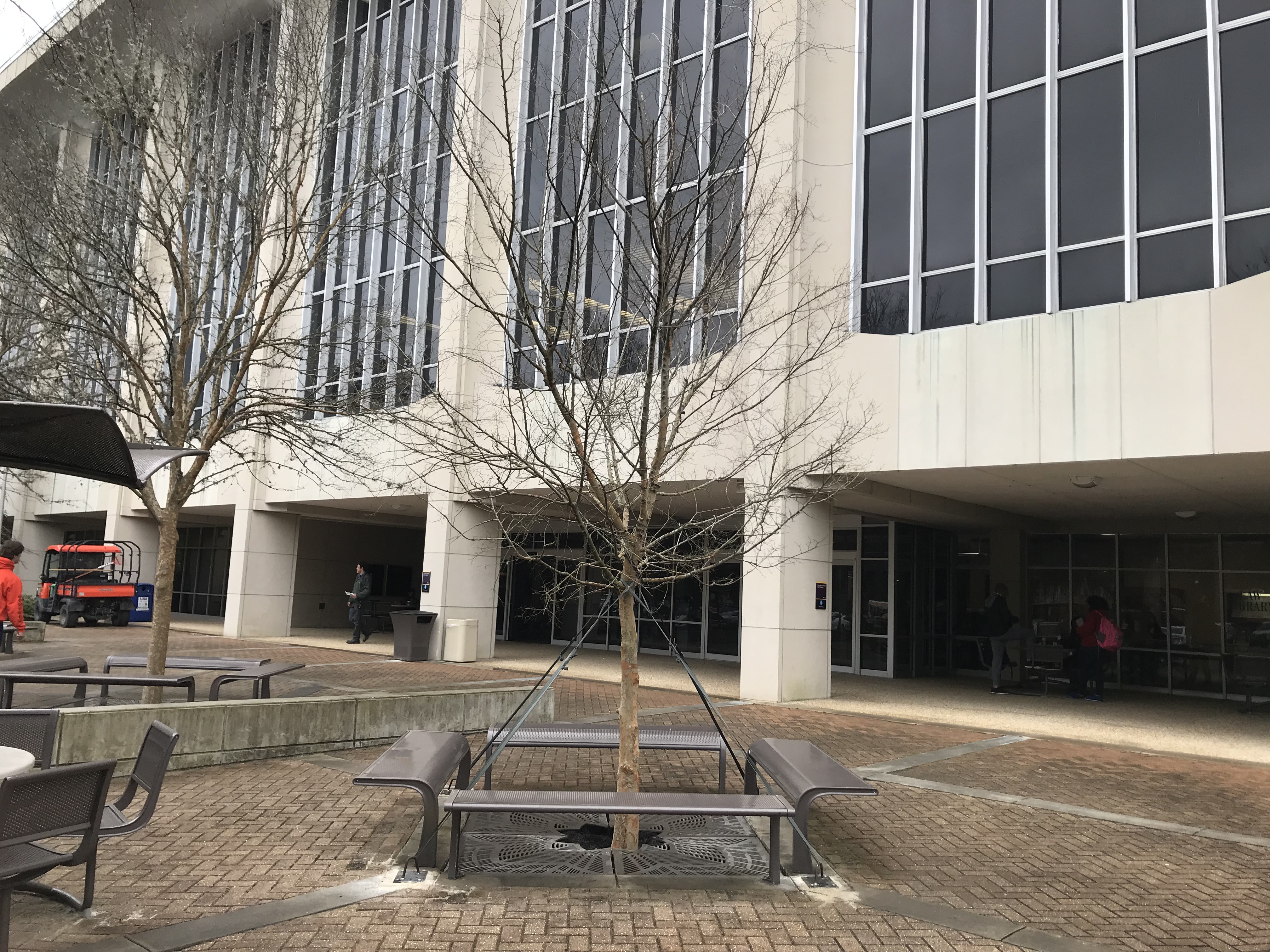 Commercial landscaping in Monroe