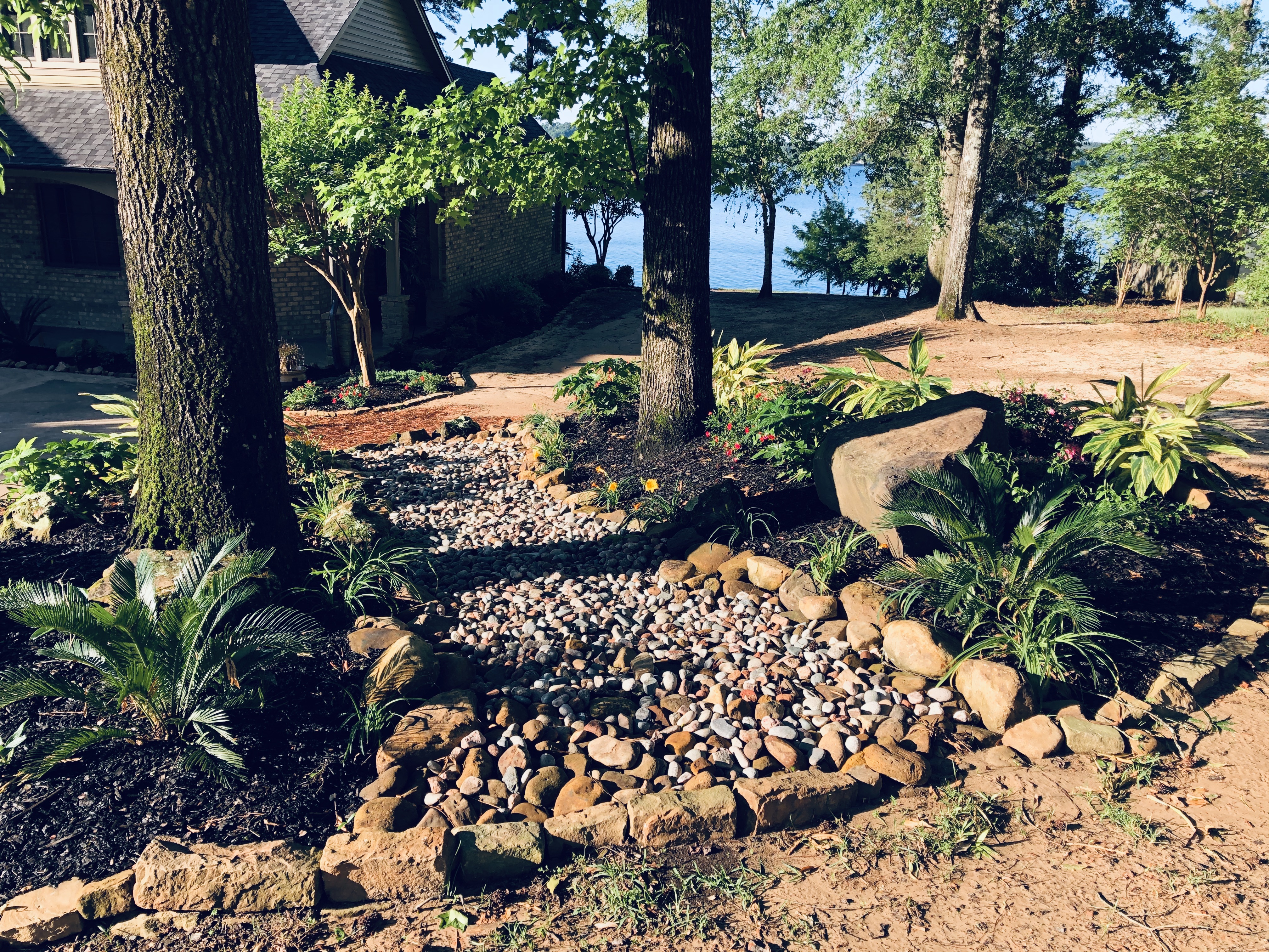 Arrangement of rocks and trees create a walkway and natural drainage.