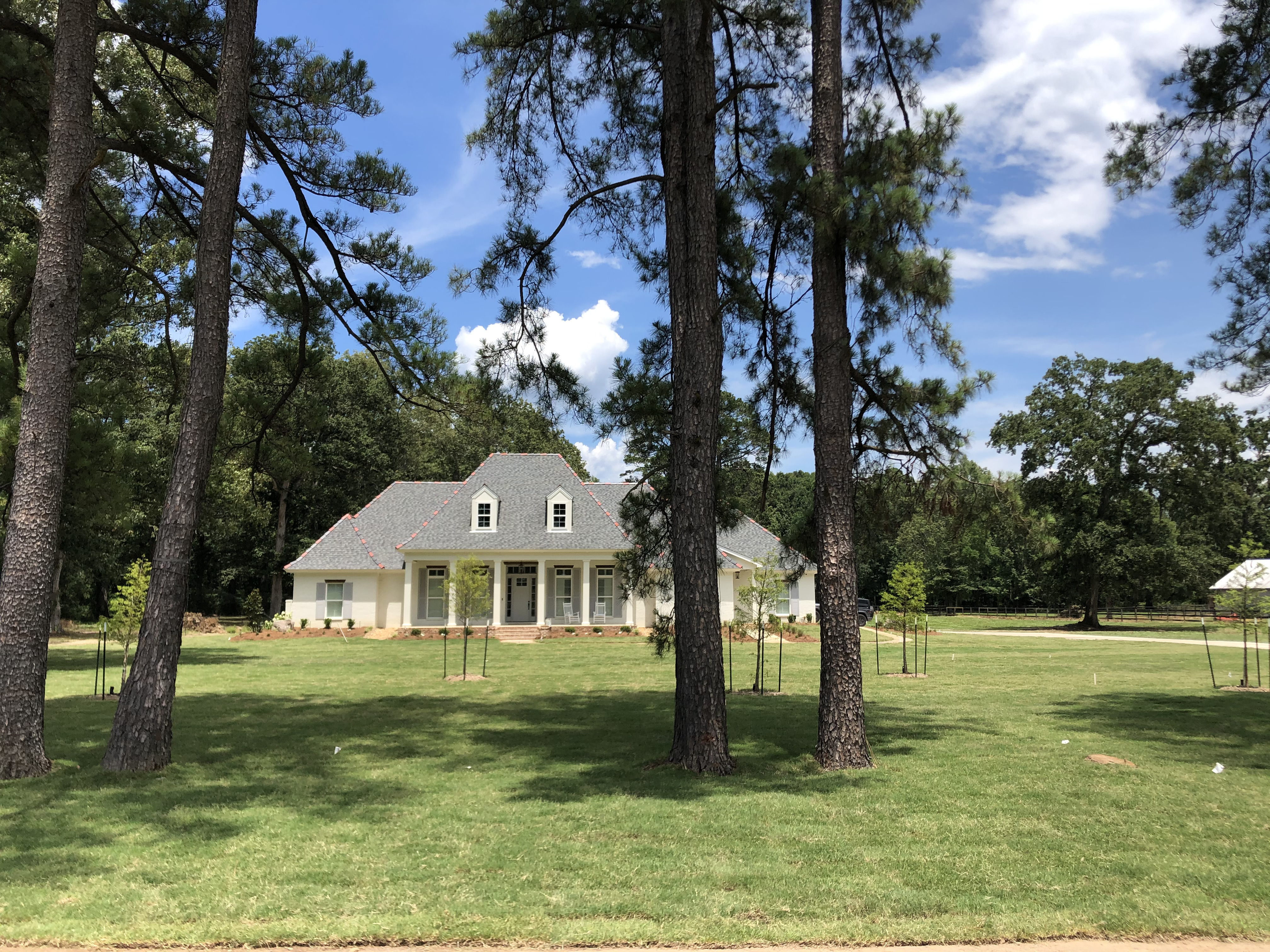 New trees added to the landscape of a house in Ruston LA.