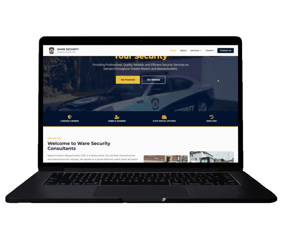 Website System Preview