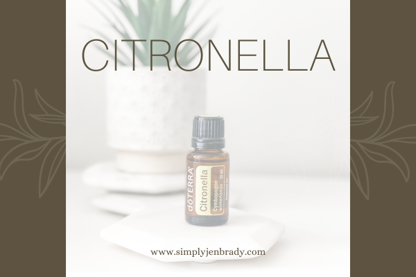 Learn simple ways to use Citronella essential oil