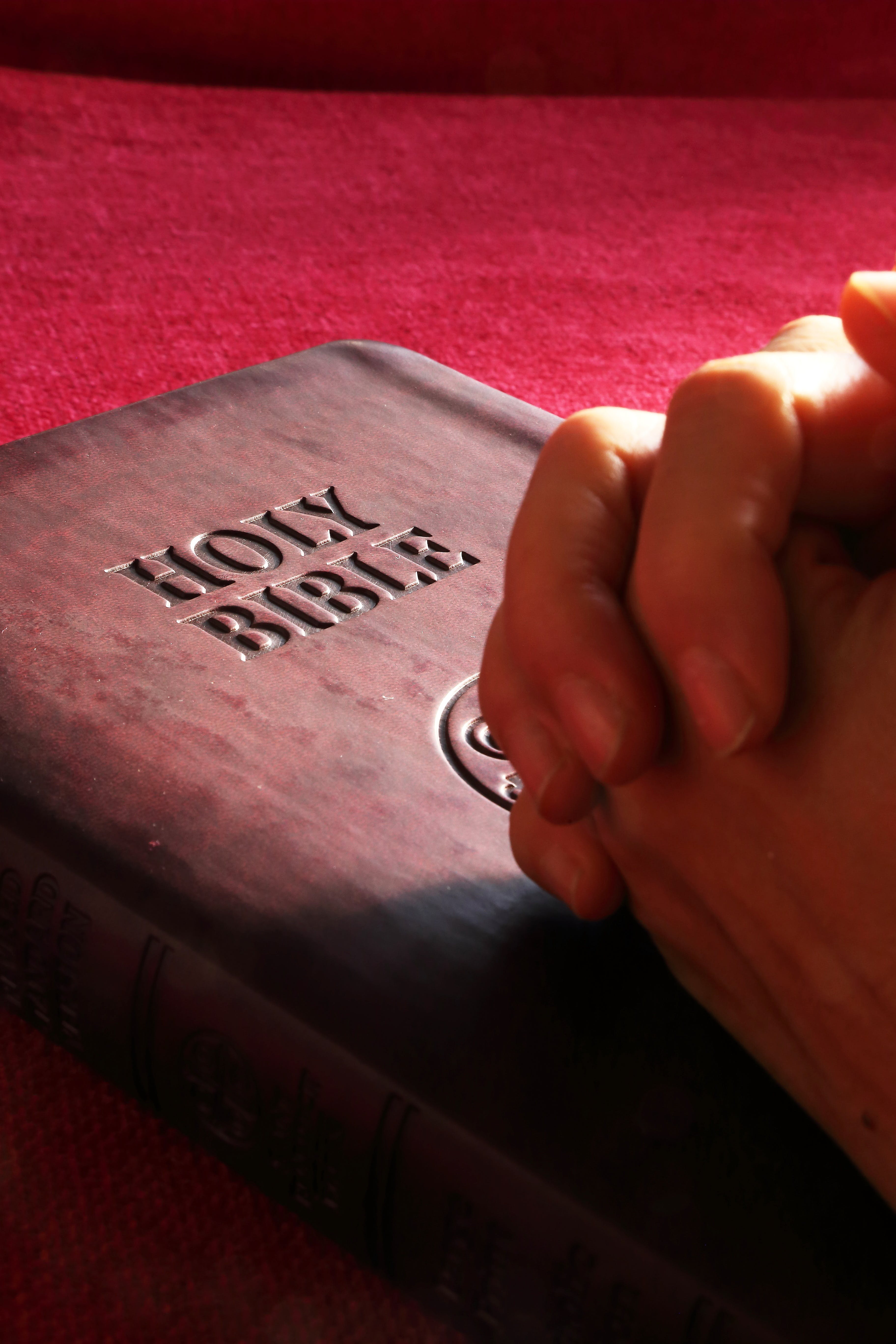 a man's hand holding the bible