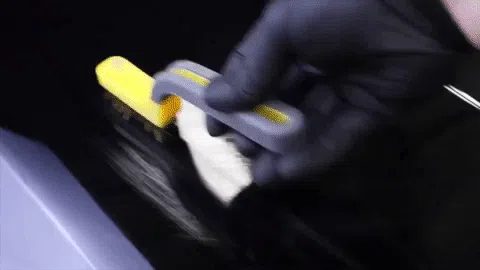 Shop action clip still