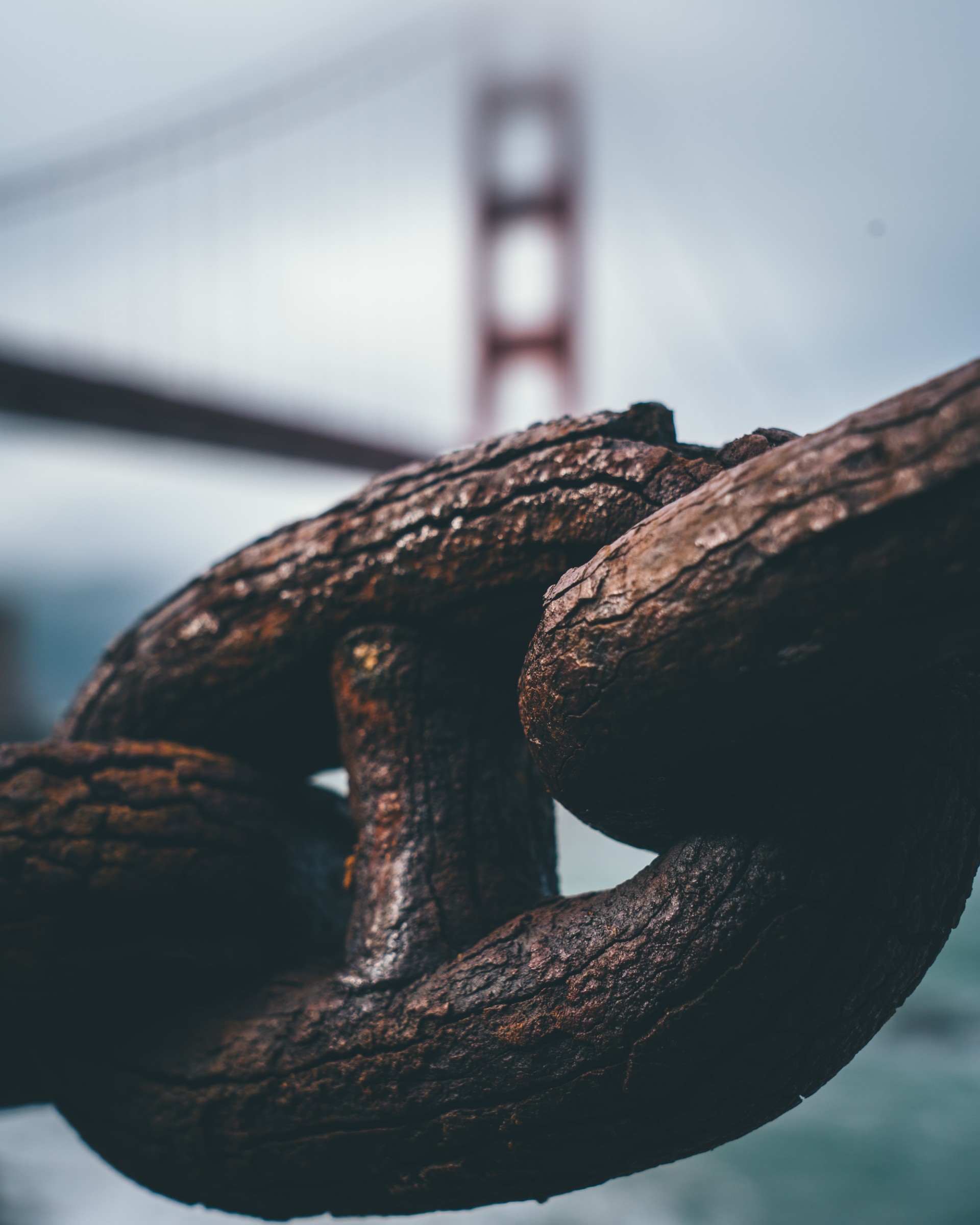 Bridge scene captured with calm stillness in a busy environment, by photographer Jaymz Maurer Bridge scene captured with calm stillness in a busy environment, by photographer Jaymz Maurer