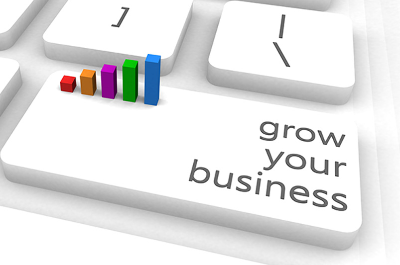 A Practical Guide to Sustainable Growth A Practical Guide to Sustainable Growth