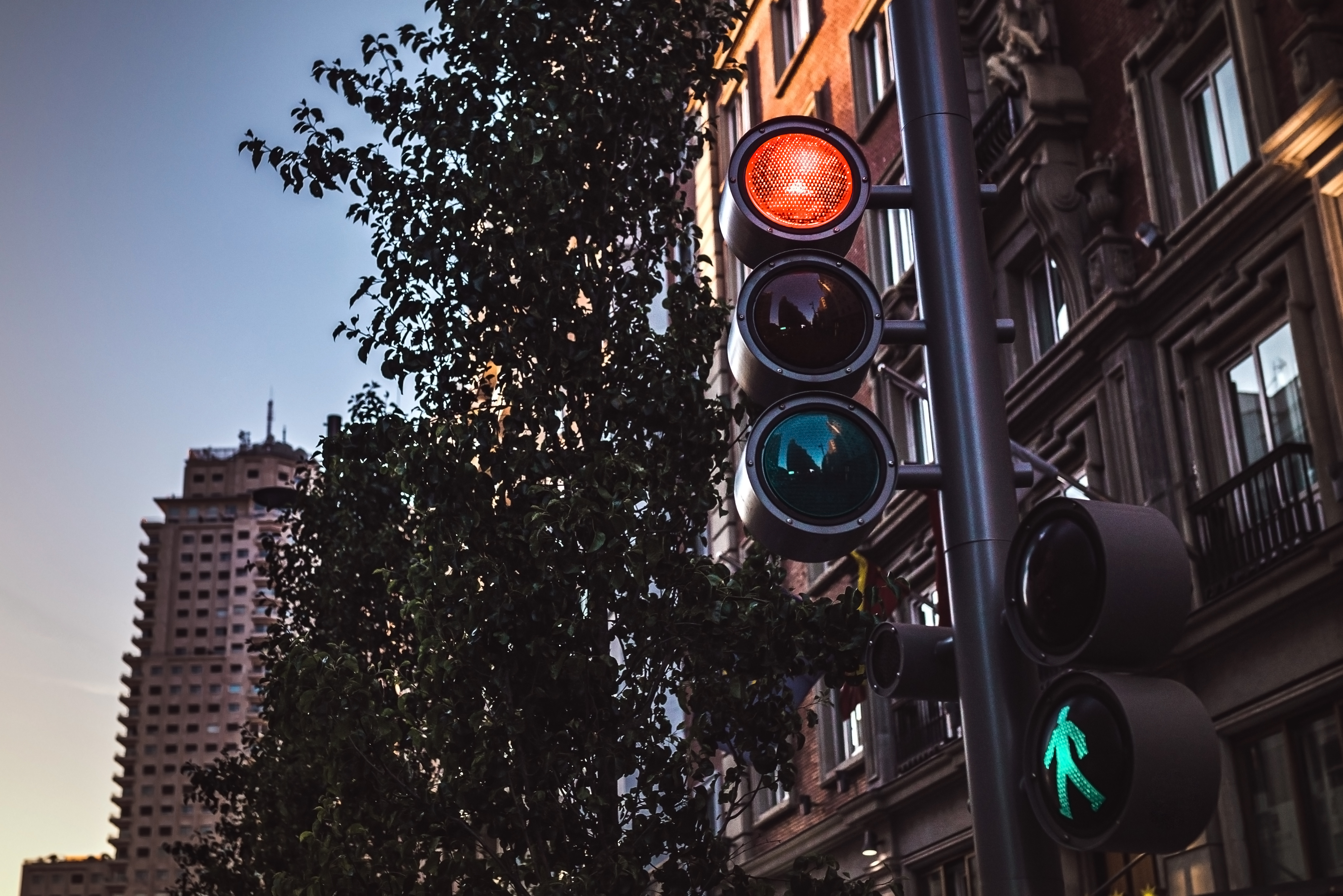 traffic light traffic light