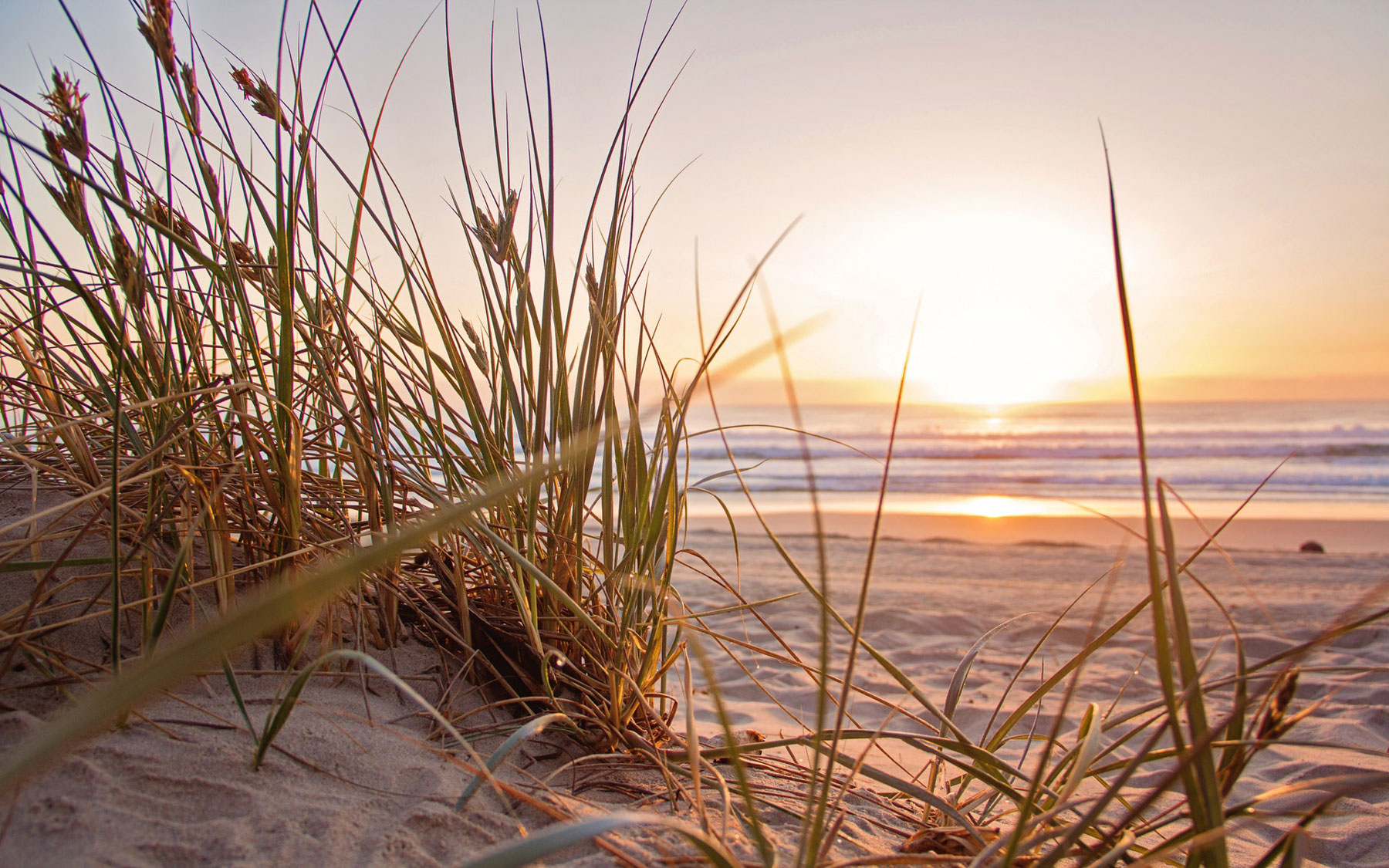 North Myrtle Beach