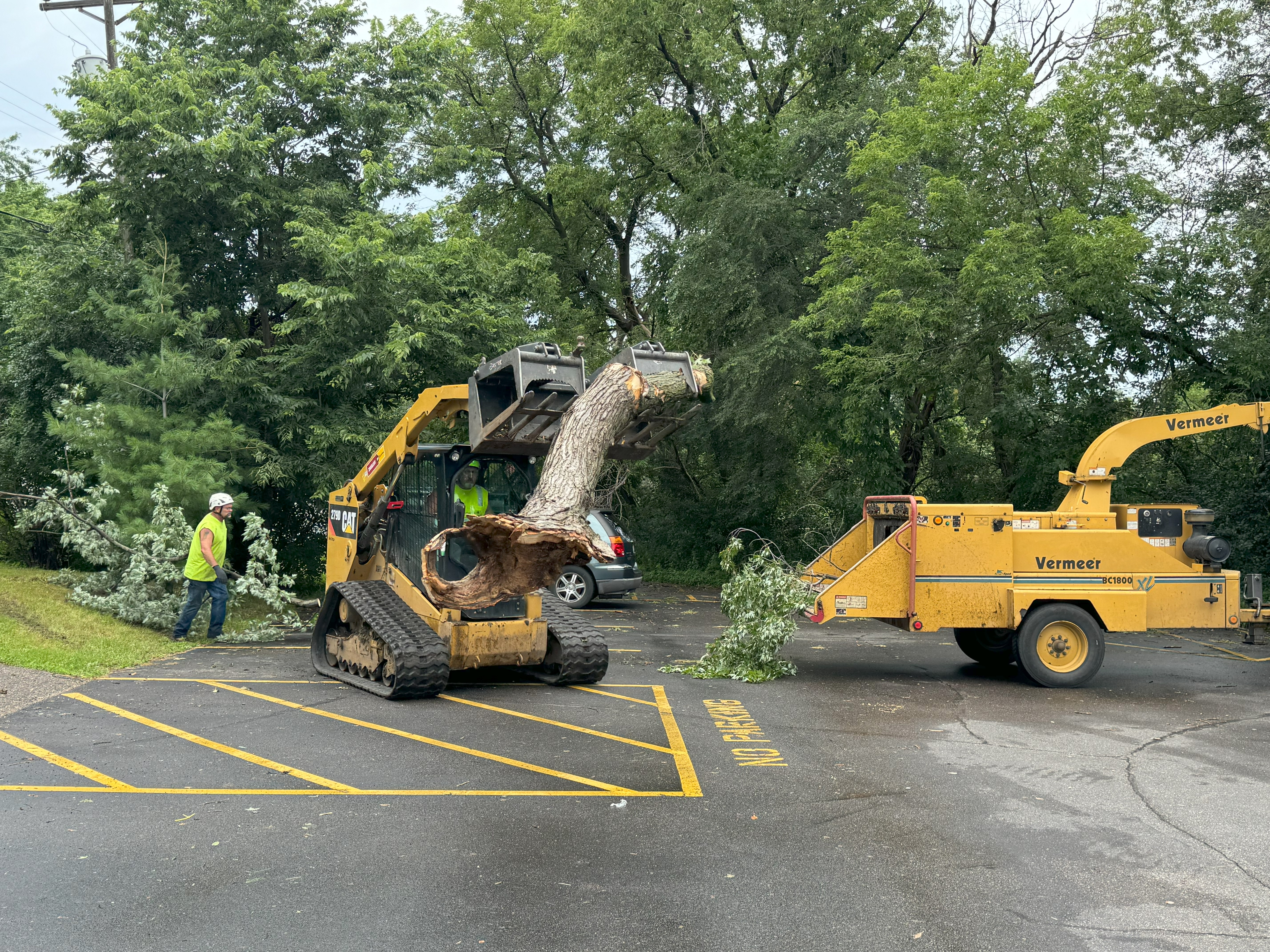 Professional Tree Contractor working with equipment in St. Cloud MN Professional Tree Contractor working with equipment in St. Cloud MN