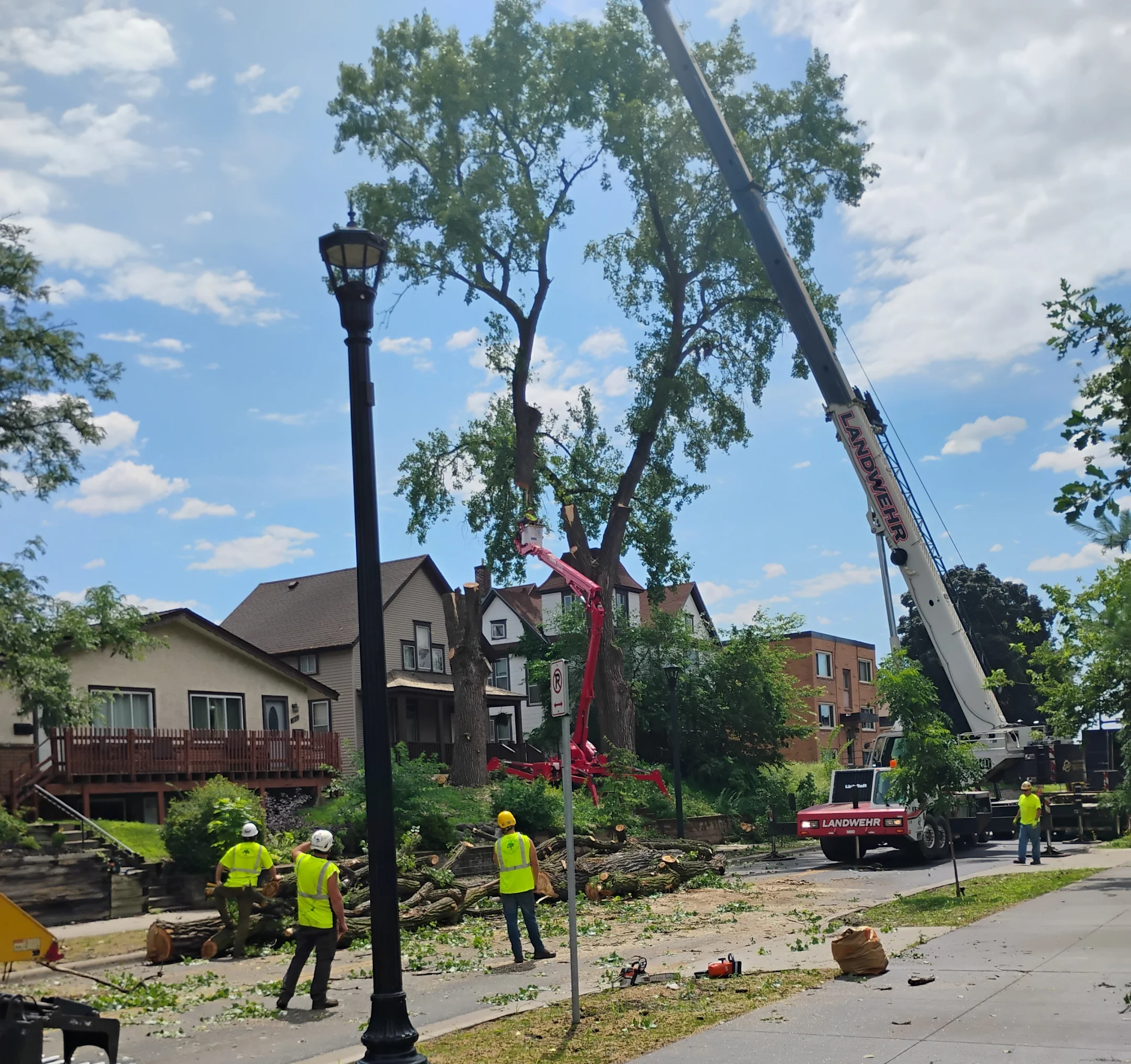 Picture of emergency crane-assisted tree removal with arborist working on a property in Minneapolis MN Picture of emergency crane-assisted tree removal with arborist working on a property in Minneapolis MN