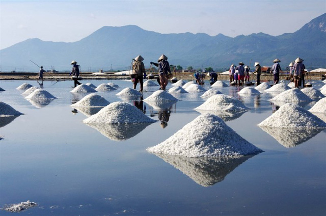 Đồng Muối Phương Cựu - Học tiếng Anh với chuyến đi đến Phan Rang Đồng Muối Phương Cựu - Học tiếng Anh với chuyến đi đến Phan Rang