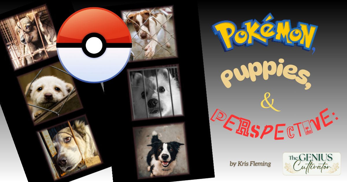Pokemon, Puppies, & Perspective: