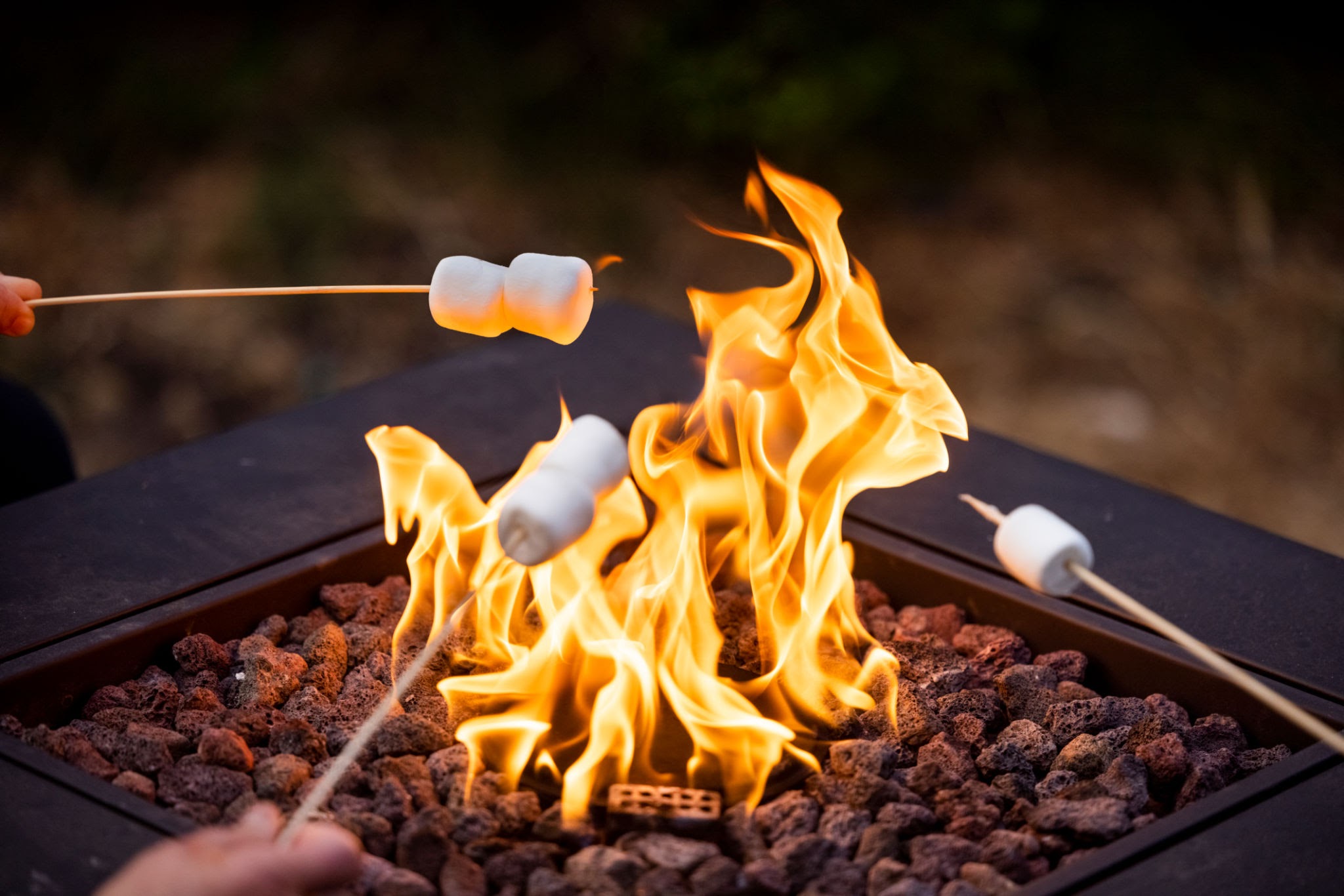 smores