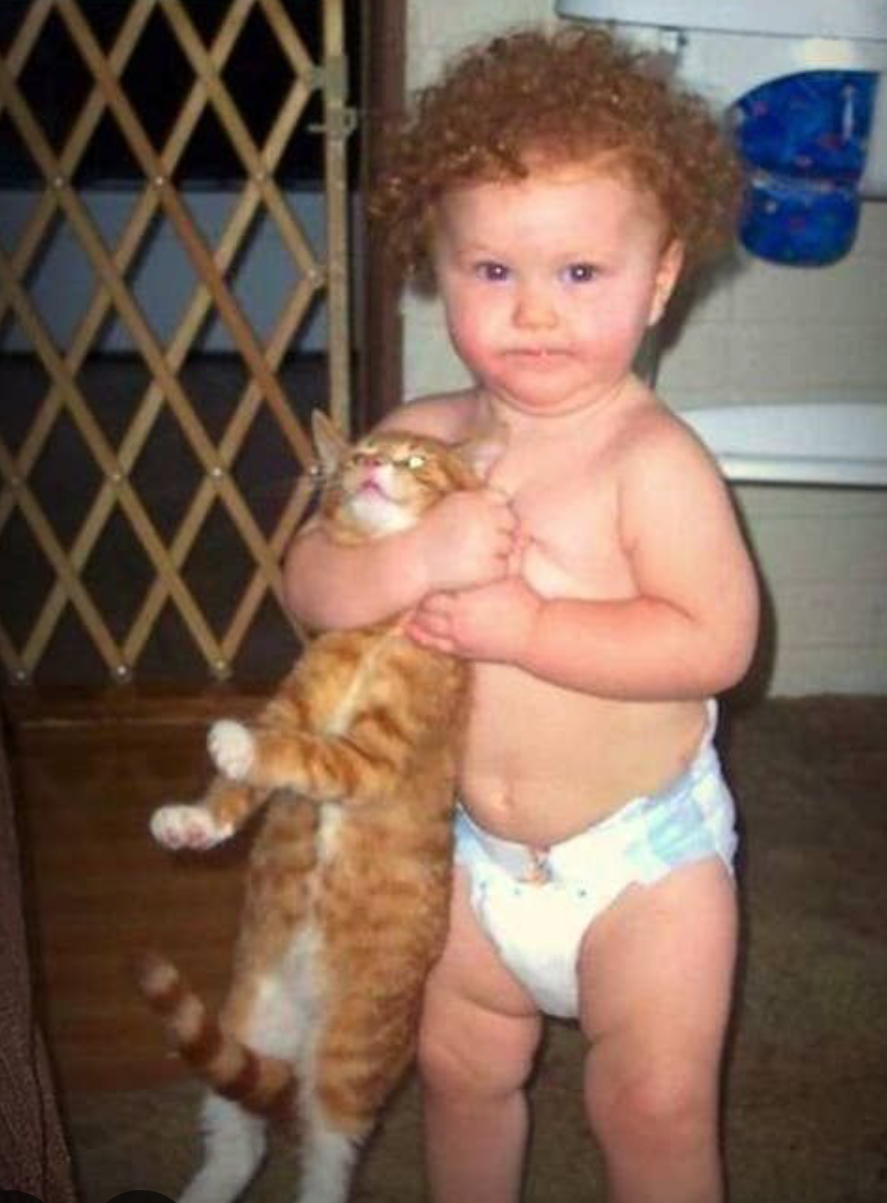 weight loss, Ridgeline training co, personal training, nutrition coaching, gym Middleton weight loss, Ridgeline training co, personal training, nutrition coaching, gym Middleton