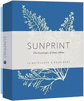 The box containing notecards with cyanotype images The box containing notecards with cyanotype images