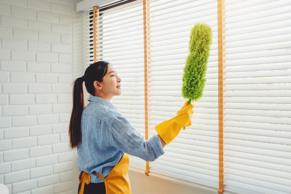 girl dusting blinds girl dusting blinds