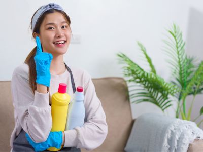 cleaning lady cleaning lady