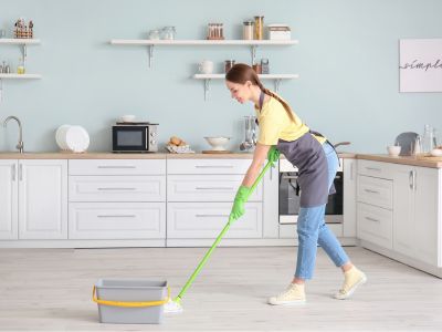 cleaning lady cleaning lady