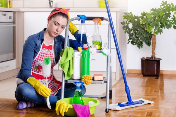 House cleaning business lady House cleaning business lady