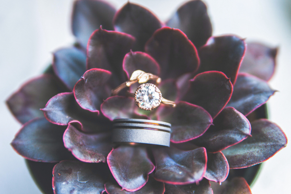 husband wedding band and bride engagement ring and wedding band on a succulent