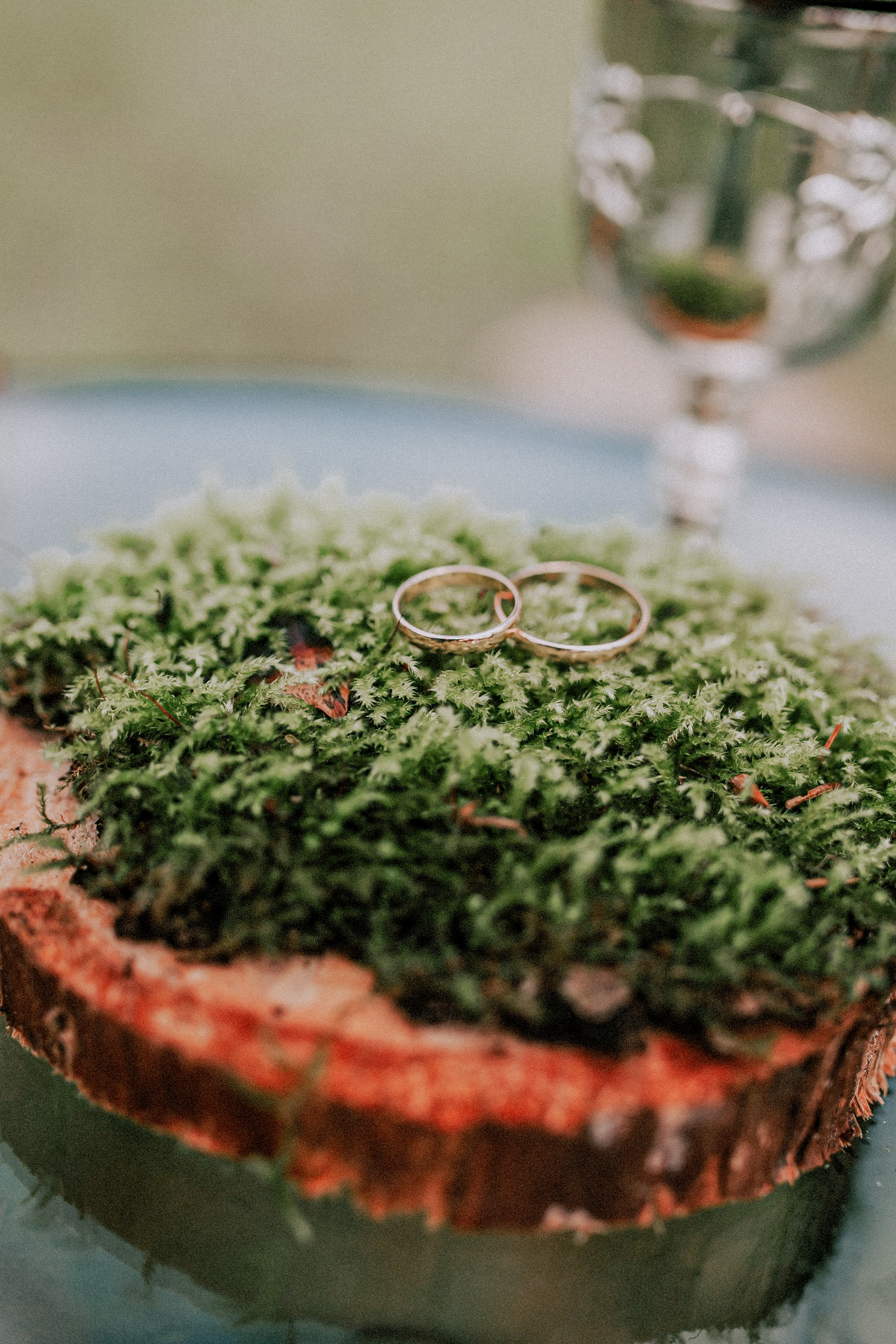 gold wedding bands on moss bed with glass of champagne in the background 