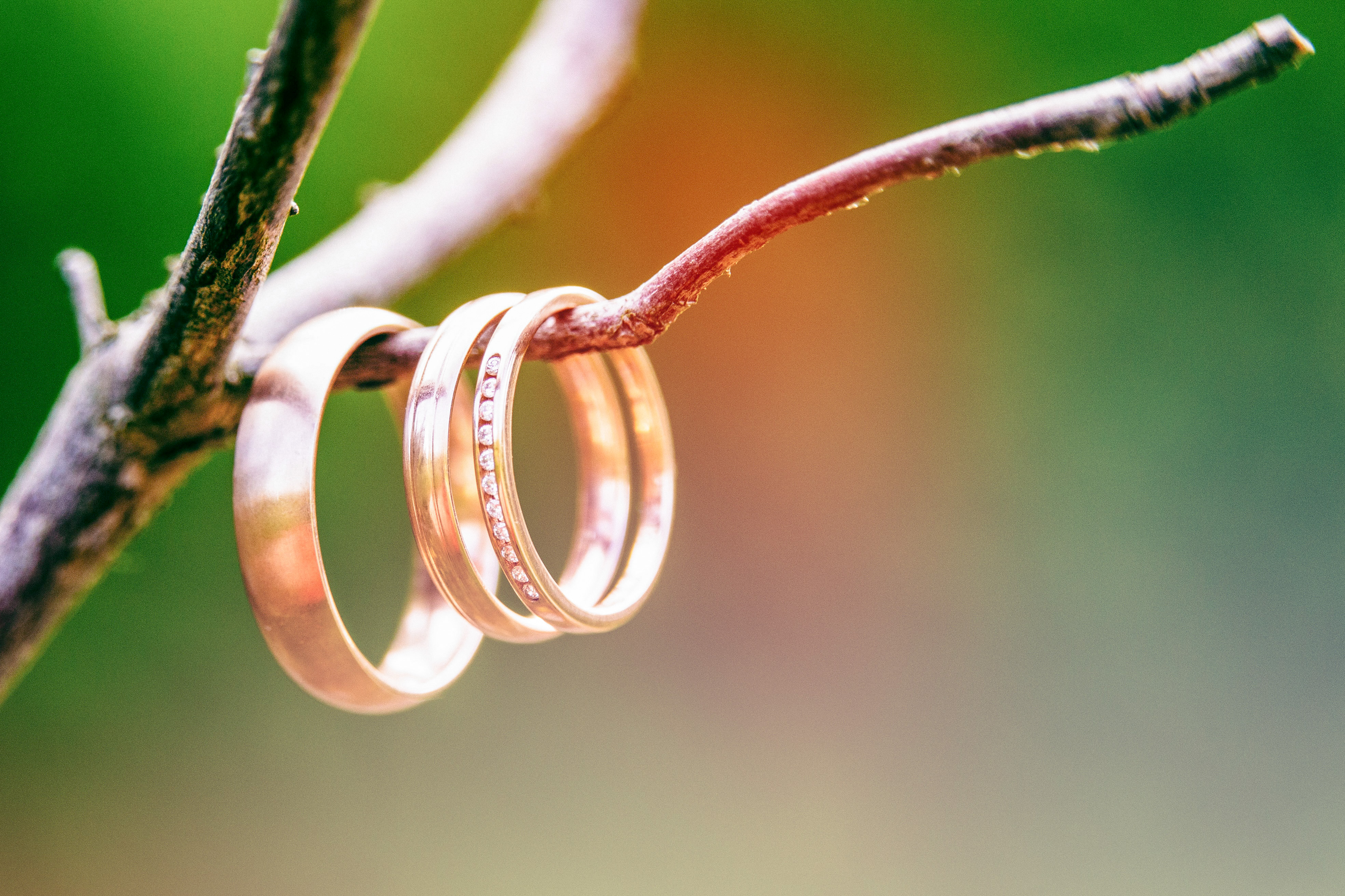 three gold wedding rings hanging on a tree branch, one is an engagement ring with a row of diamonds