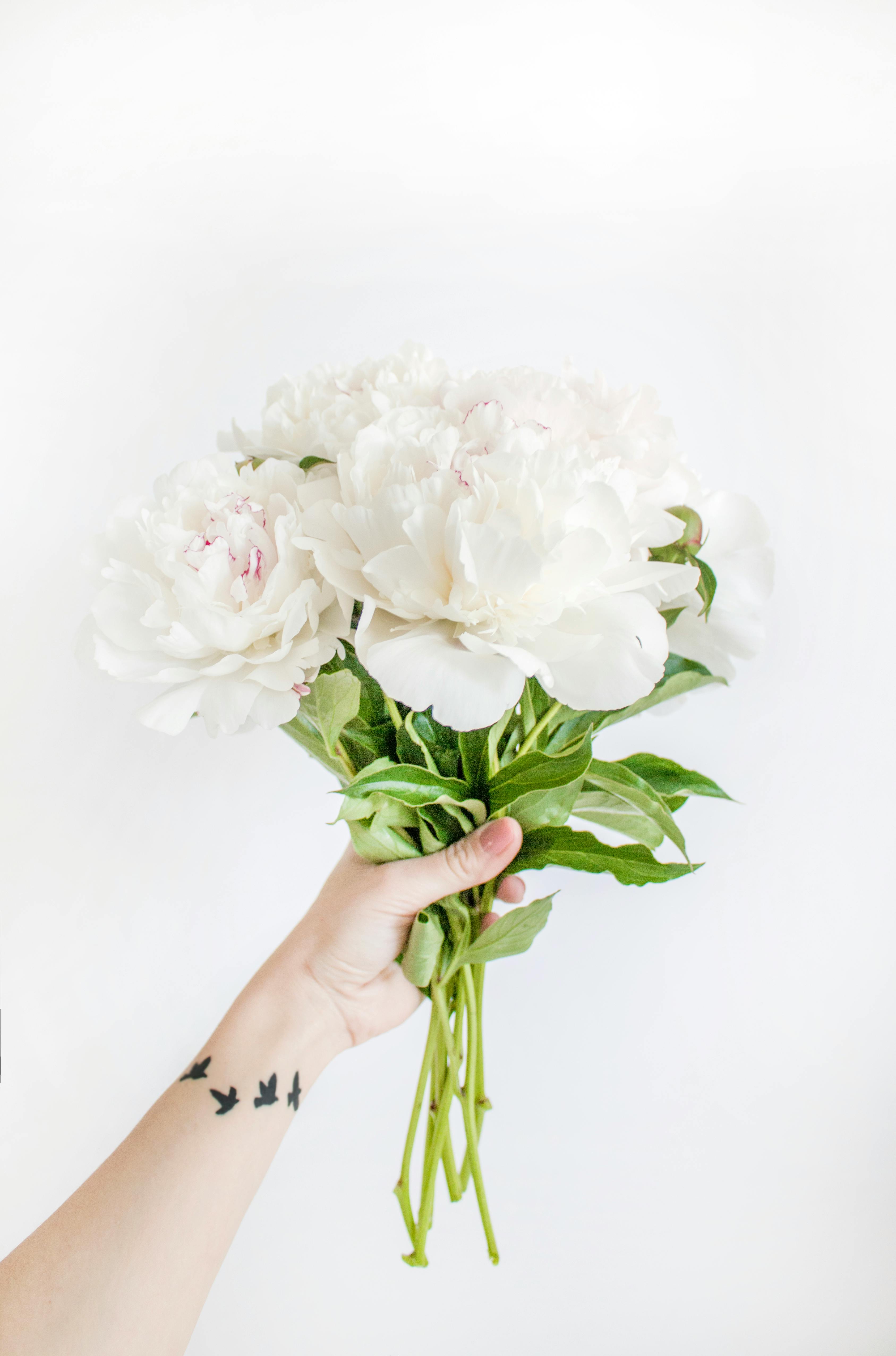 BLOOMS