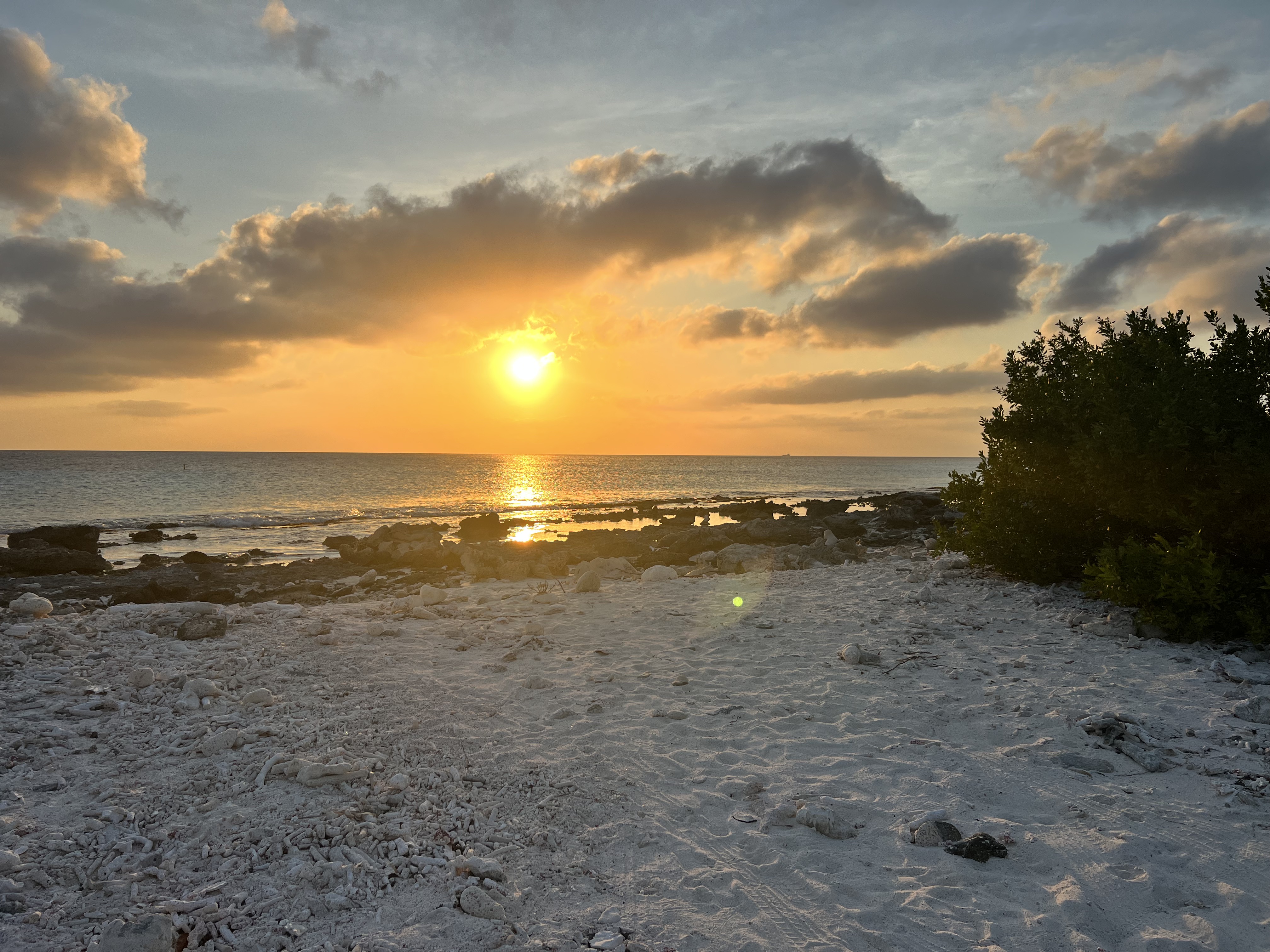 Waiting for sunset