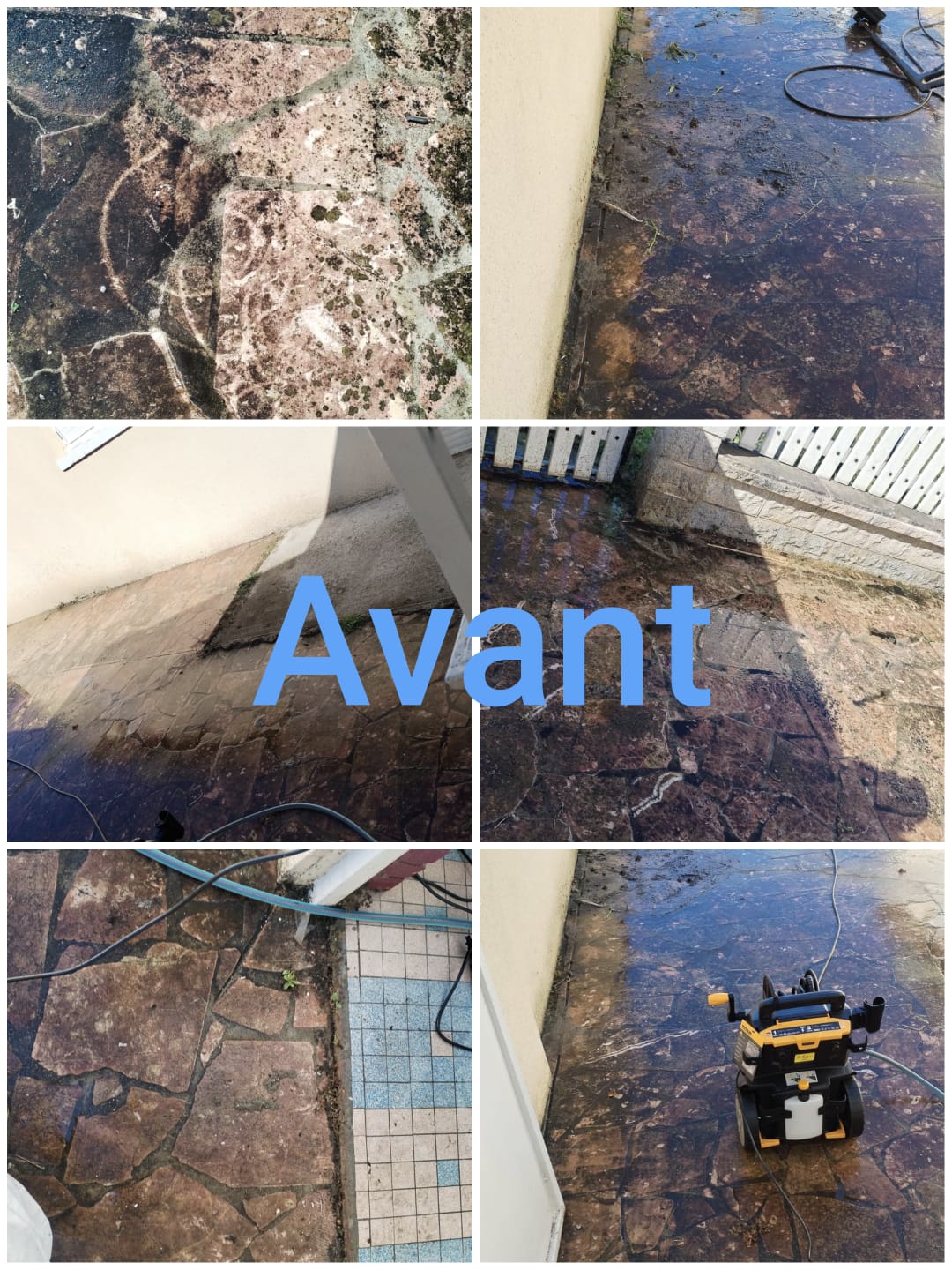 entreprise de nettoyage le mans / nettoyage le mans / société de nettoyage le mans / nettoyage de bâtiments le mans / lavage de vitres le mans / conciergerie le mans / nettoyage professionnel le mans / services de nettoyage pour entreprises le mans / entretien bureaux le mans / propreté le mans / entreprise entretien locaux le mans / hygiène entreprise le mans / nettoyage écologique le mans / nettoyage immeubles le mans / nettoyage locaux commerciaux le mans / nettoyage vitres le mans / société conciergerie le mans / services nettoyage sur mesure le mans / entreprise nettoyage fiable le mans / services nettoyage professionnels le mans